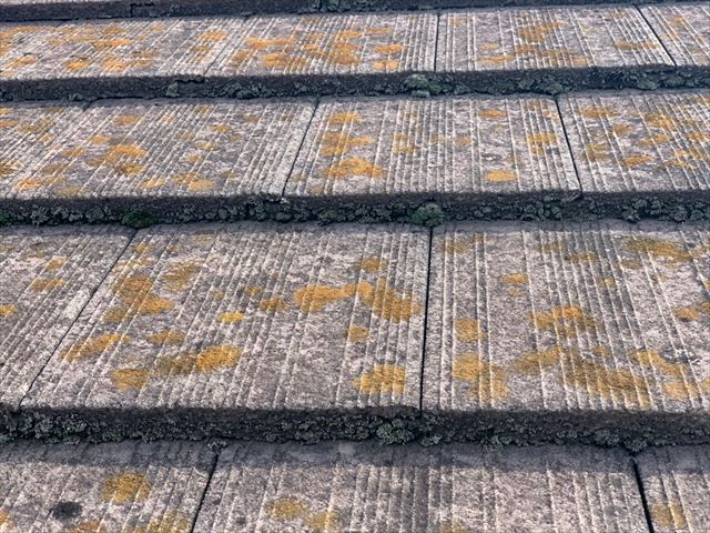 色褪せて苔が繁殖したセメント瓦屋根